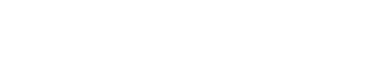 VIZIR GROUP